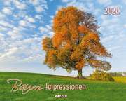Baum-Impressionen 2020 Baum-Impressionen 2020