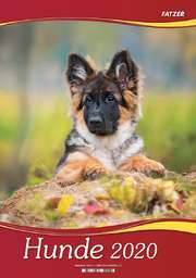 Hunde 2020 - 2 in 1-Wandkalender Hunde 2020 - 2 in 1-Wandkalender