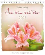 Sarah Young - Ich bin bei dir 2023 - Postkartenkalender Ich bin bei dir 2023 - Postkartenkalender