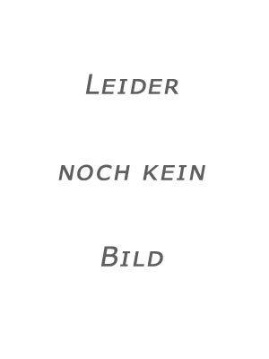 Bau mit Nehemia