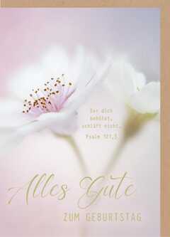 Faltkarte "Alles Gute zum Geburtstag" - Blüte