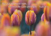 Kleinkärtchenserie Frühlingsblumen, 12 Stück Kleinkärtchenserie Frühlingsblumen, 12 Stück
