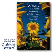 Postkarten Sonnenblumen, 6 Stück