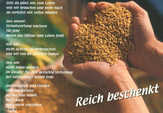 Petra Würth - Postkarten: Reich beschenkt, 12 Stück Postkarten: Reich beschenkt, 12 Stück