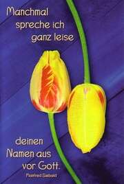CD-Card: Manchmal spreche ich ... - NEUTRAL CD-Card: Manchmal spreche ich ... - NEUTRAL
