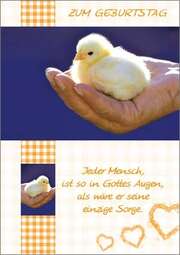 Grußkarte - Zum Geburtstag Grußkarte - Zum Geburtstag