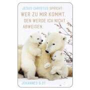 Kalenderkärtchen Eichhörnchen 2021 Kalenderkärtchen Eichhörnchen 2021